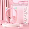 CAT Headphones